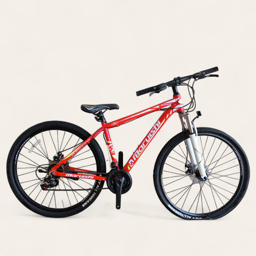 دوچرخه سایز 29