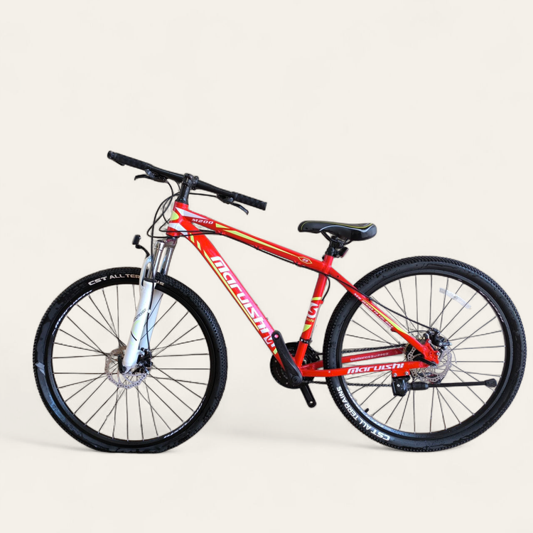 دوچرخه سایز 29